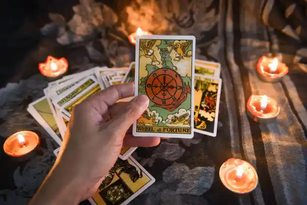 tarot cards Leonia